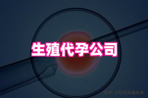 国际助孕网 4